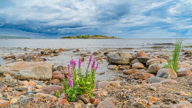 20 стран, где в 2026 году не облагают налогом прибыль от криптовалюты