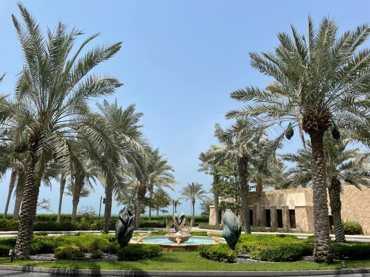 ОАЭ эвакуировали 500 владельцев Golden Visa из-за закрытия воздушного пространства на фоне кризиса в регионе